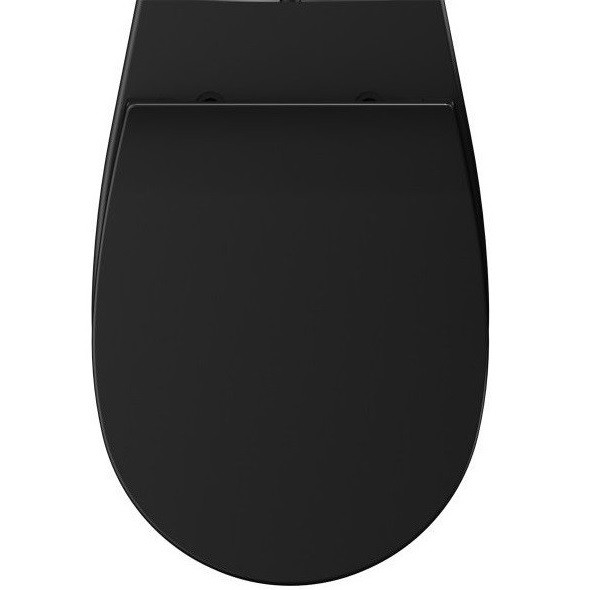 Сиденье для унитаза ISVEA Sentimenti Neo 40D10 с крышкой цвет черный матовый 40D10521I-S