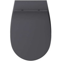 Сиденье для унитаза ISVEA Sentimenti Neo 40D10 с крышкой цвет антрацит матовый 40D10522I