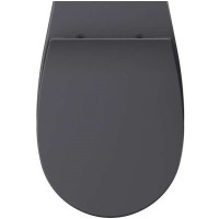Сиденье для унитаза ISVEA Sentimenti Neo 40D80 с крышкой цвет антрацит матовый 40D80522I-S