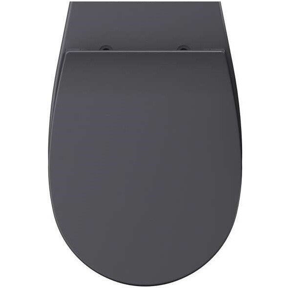 Сиденье для унитаза ISVEA Sentimenti Neo 40D80 с крышкой цвет антрацит матовый 40D80522I-S