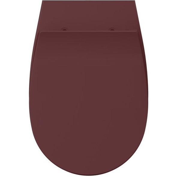 Сиденье для унитаза ISVEA Sentimenti Neo 40D80 с крышкой цвет бордовый матовый 40D80543I-S