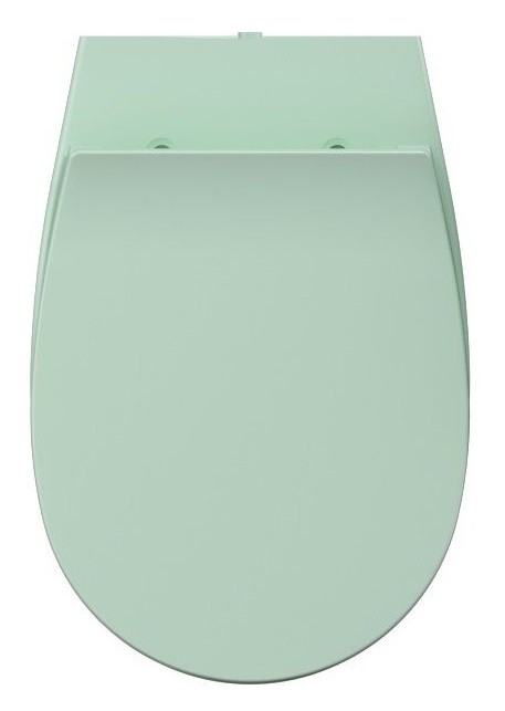 Сиденье Для Унитаза Зеленый Купить