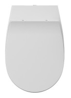 Сиденье для унитаза ISVEA Sentimenti Neo D40 ШГ 367*440 цвет бордовый матовый 40D40543I-S