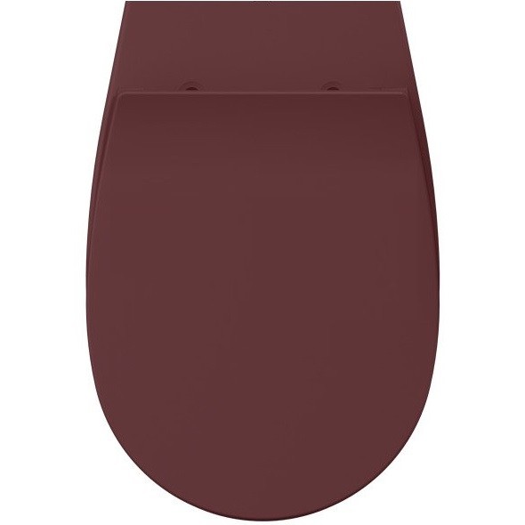 Сиденье для унитаза ISVEA Sentimenti Neo 40D10 с крышкой цвет бордовый матовый 40D10543I-S