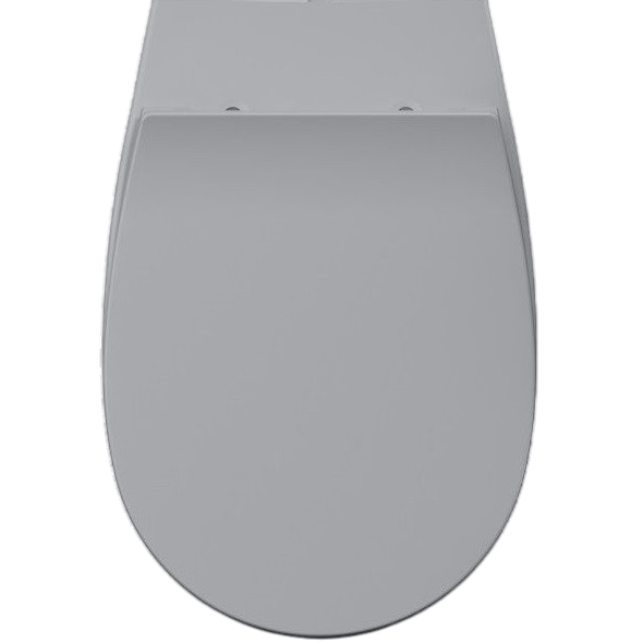 Сиденье для унитаза ISVEA Sentimenti Neo 40D10 с крышкой цвет серый бетон матовый 40D10547I-S